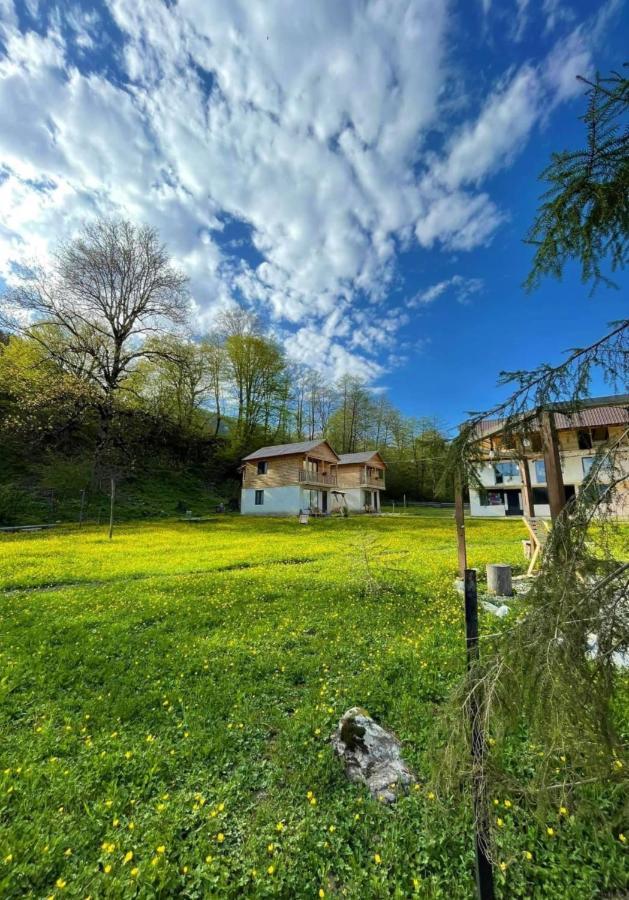Hotel Chubezeni Mestia Bagian luar foto